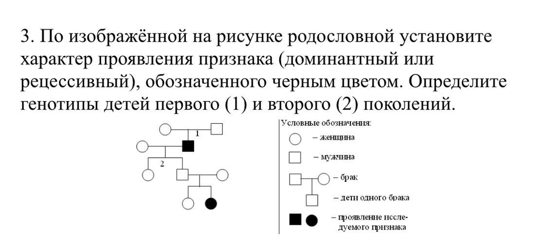 По изображенной на рисунке родословной установите характер проявления признака доминантный или 1 2