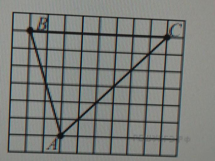 На клетчатой бумаге 1х1 нарисован треугольник. Прямоугольный треугольник на клетки 1х1. Доски с треугольными клетками. Высота треугольника на клетчатой бумаге. Клетка 1 на 1.
