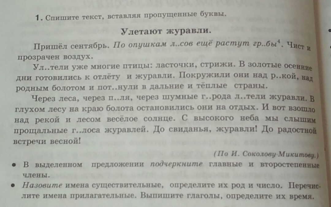 Впиши недостающие заголовки в план текста милая сердцу береза