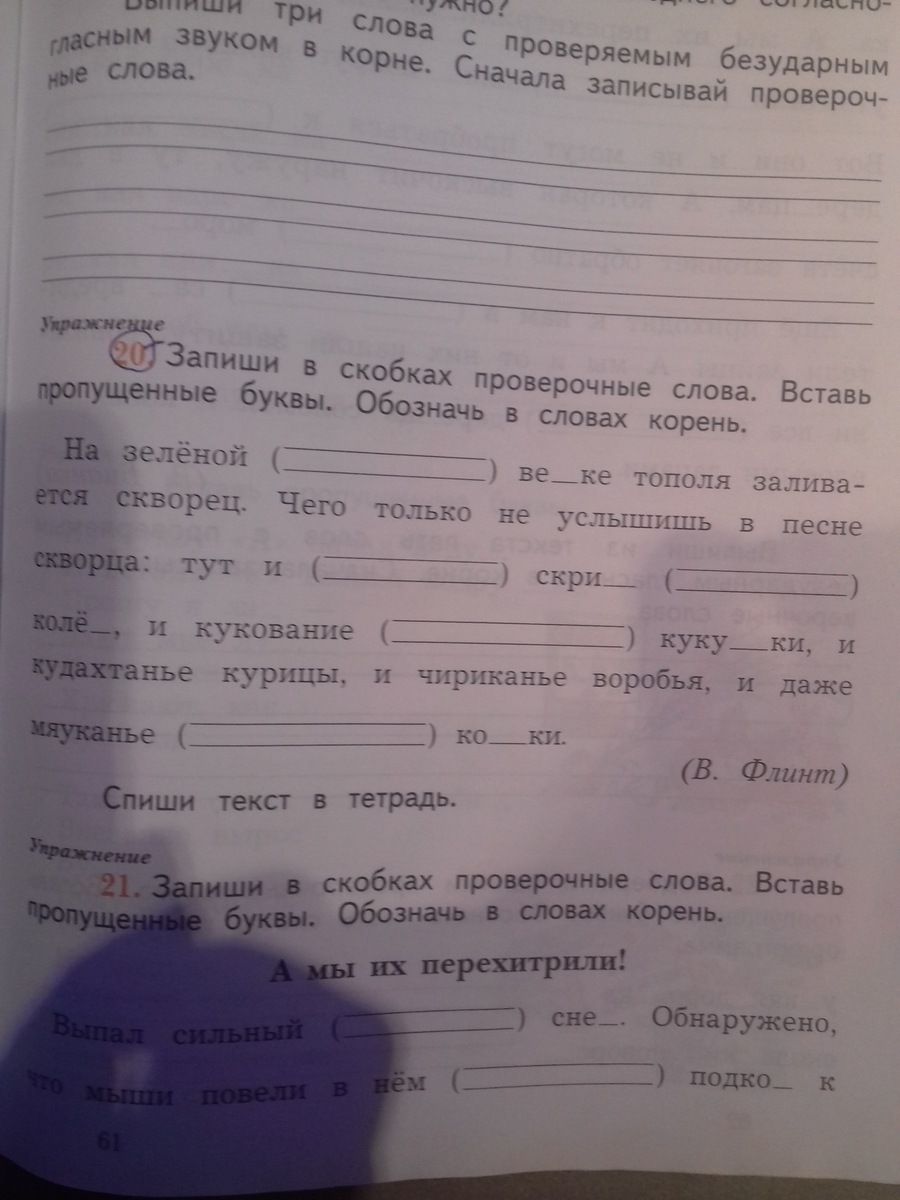 Запишите текст вставьте пропущенные слова. Запиши в скобках проверочные слова вставь пропущенные буквы. Запиши проверочные слова. Вставь пропу. Запиши в скобках проверочные. Запиши в скобках проверочные слова.