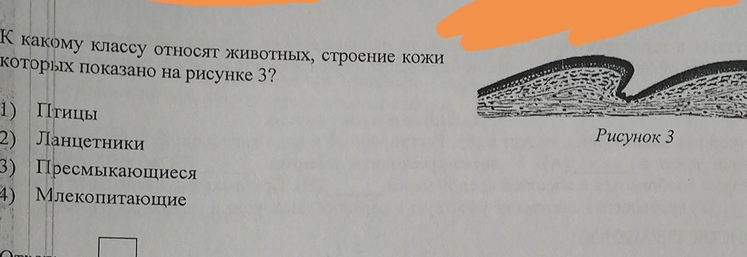 Тест по биологии млекопитающие с ответами. На рисунке представлен фрагмент внутреннего строения животного.