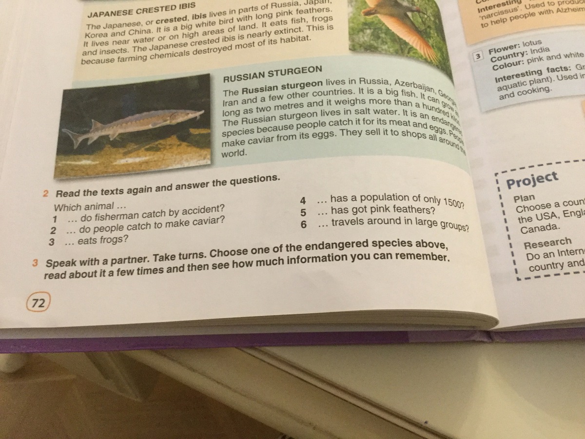 Now read again and answer. Read and answer the questions 4 класс. Read the text and answer the questions 5 класс. Read the text and answer the questions 4 класс. Read the text and answer the questions 6 класс ответы.