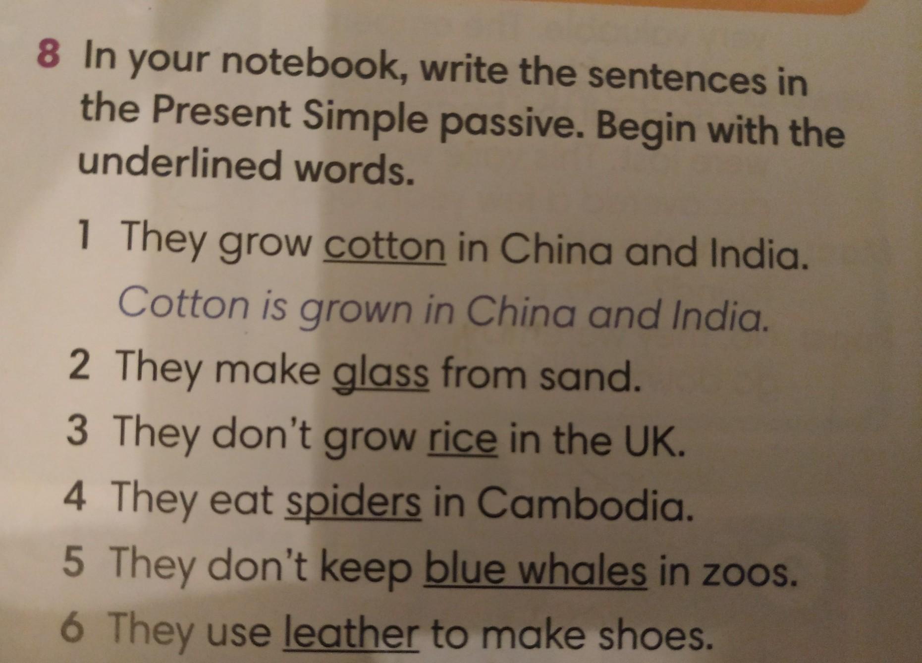 Underline the Words. Ask questions to the underlined Words. Present Passive. Correct the underlined Words when i was young i cant.