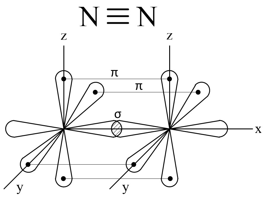 Схема образования химической связи азота