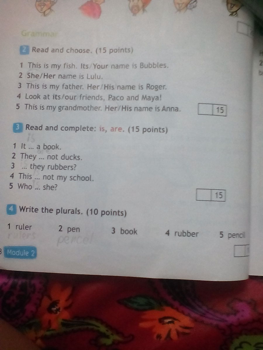 24 read and answer. Read and choose 4 класс. Write the plurals 10 points. Write the plurals 5 класс английский язык ответы. Write the plural ответ.