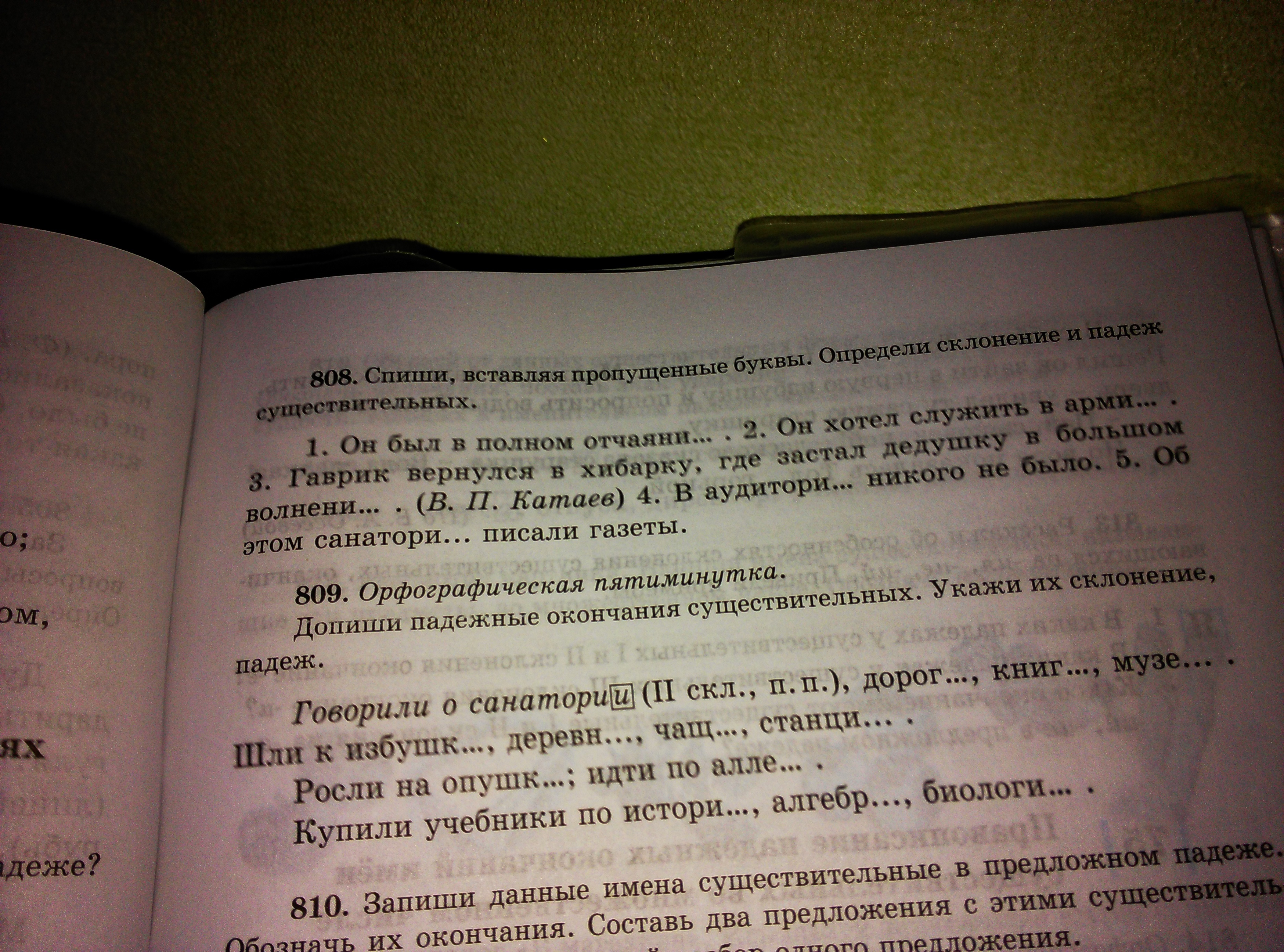 Запиши предложение определи склонение и падеж существительных