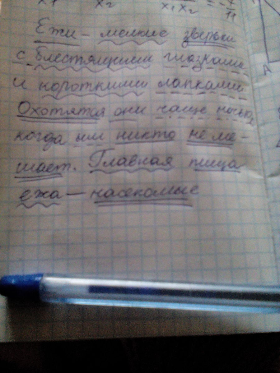 Составьте схему 1 предложения последнего абзаца ежи полезные зверюшки