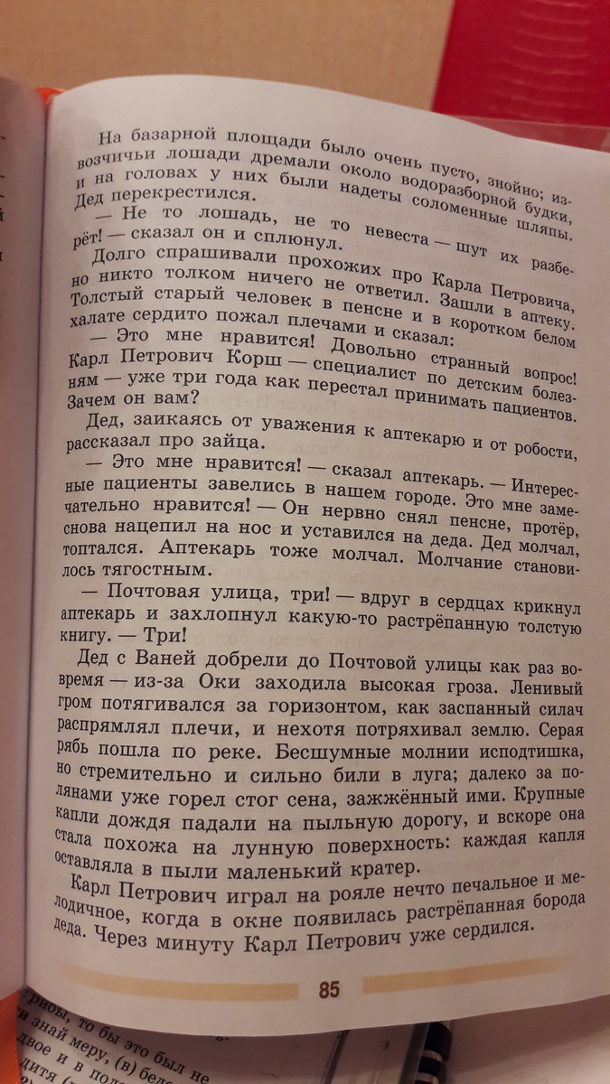 Заячьи лапы диктант 6 класс. Заячьи лапы текст ОГЭ сочинение.