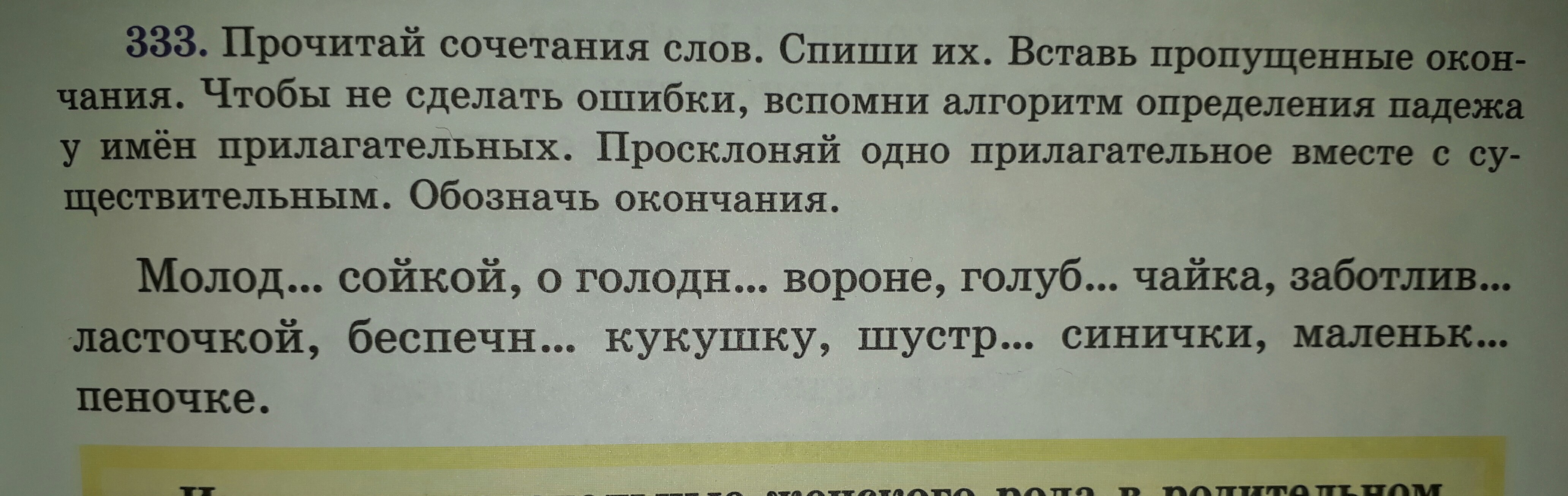 Русский 5 класс упр 333. Прочитай сочетания слов. Прочитай сочетания слов русский язык. Русский язык 6 класс упр 333. Прочитай сочетание слов русский язык ответ.