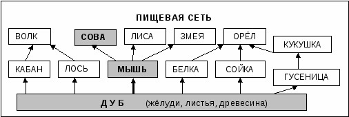 Как составить схему цепи питания, характерной …