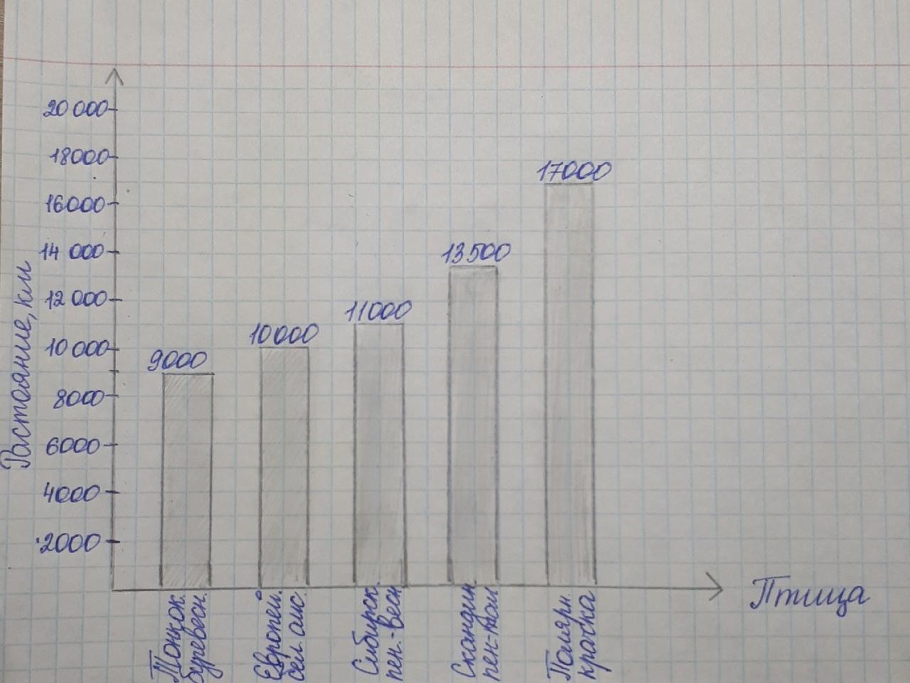 Столбиковая диаграмма перелета птиц