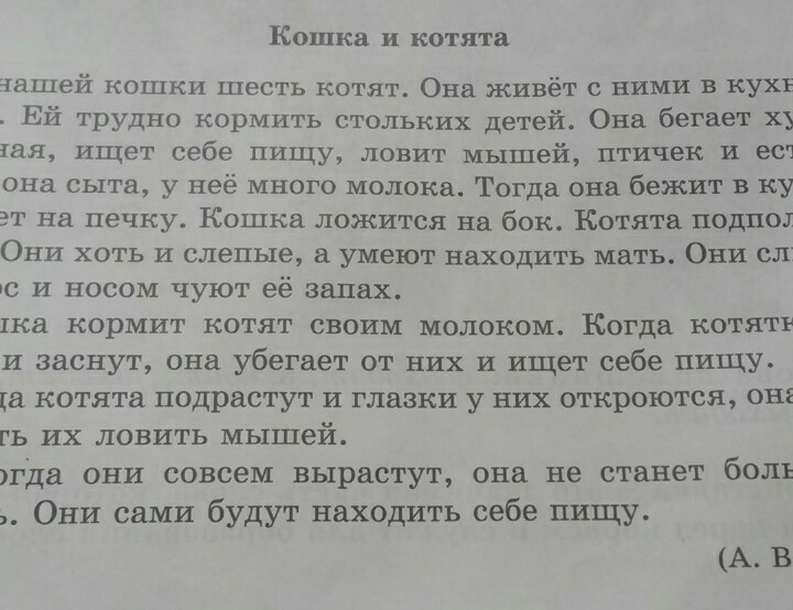 Однажды хозяйка уехала по делам и забыла что у нее на кухне осталась кошка изложение