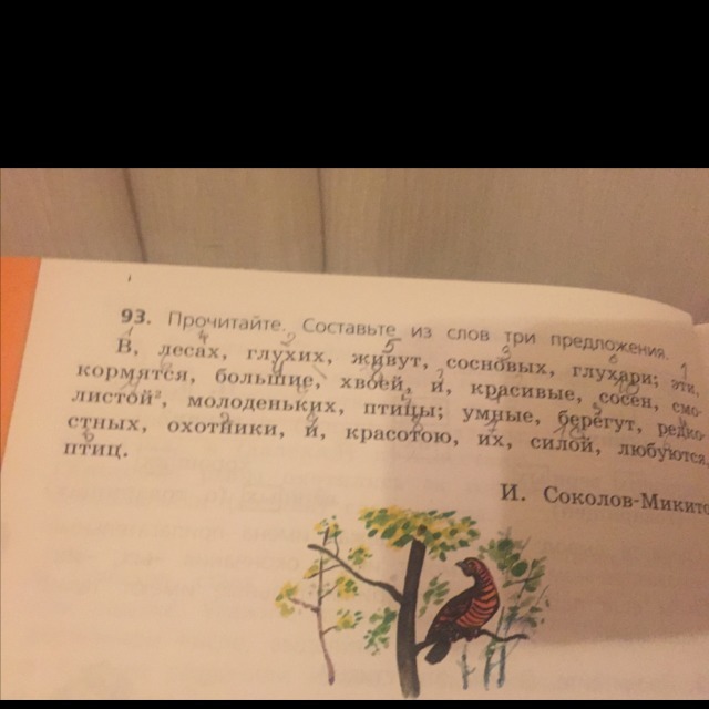 В глухих сосновых лесах падеж. В глухих сосновых лесах падеж. Предложение со словом самокат. Падеж слова лес. Птицы в глухих сосновых лесах.