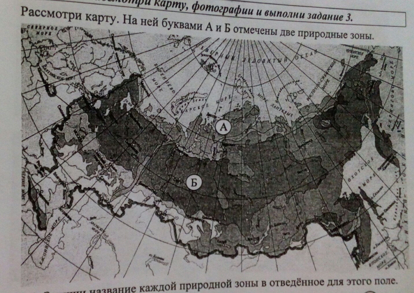 карта природных зон 4 класс окружающий мир впр ответы. карта природных зон россии 4 класс впр. название зоны а и б. запиши название каждой природной зоны в отведённое для этого. впр окружающий мир карта природных зон.