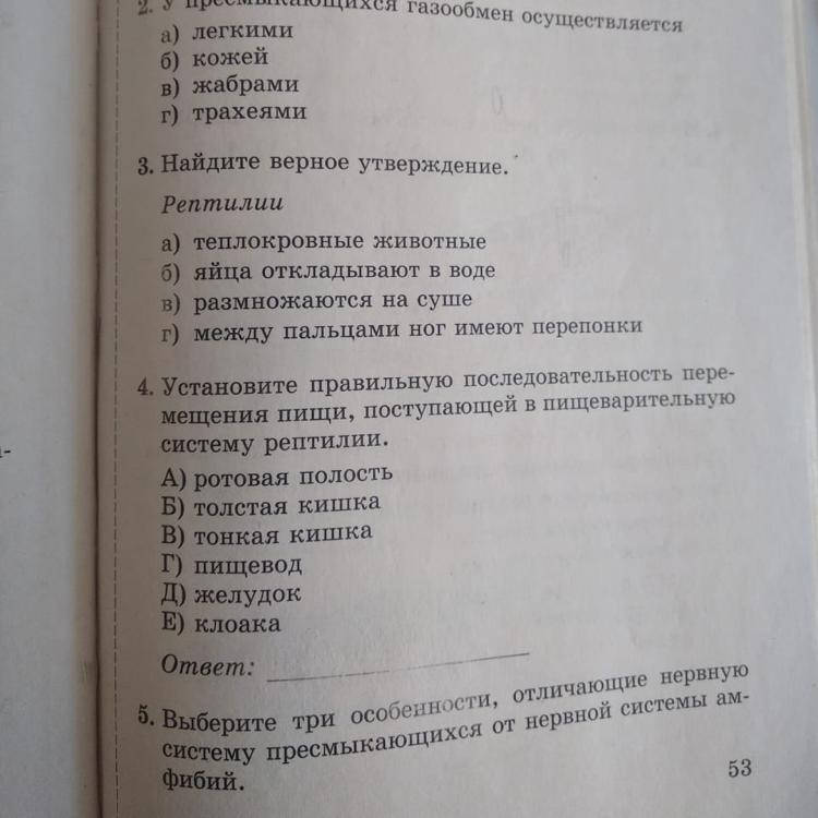 Контрольная работа по рептилиям 7 класс. Тест по биологии пресмыкающиеся. Пресмыкающиеся тест 7 класс. Тест 14 класс пресмыкающиеся или. Тест по биологии 7 класс пресмыкающиеся или рептилии.