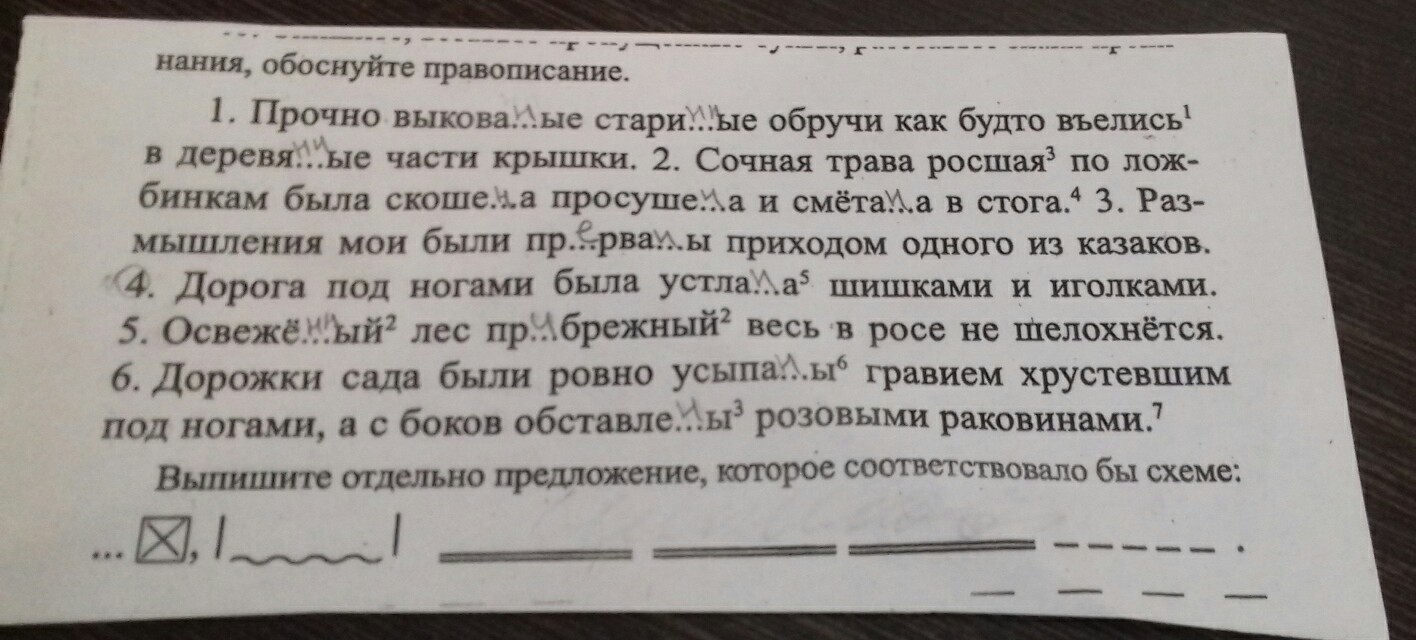 Особей предложение. Выпишите отдельное предложение которое соответствует схеме. Выпишите из текста предложения, которое соответствует схеме.. Выпиши из текста предложение которое соответствует схеме. Выпиши предложение которое соответствует схеме 2 класс.