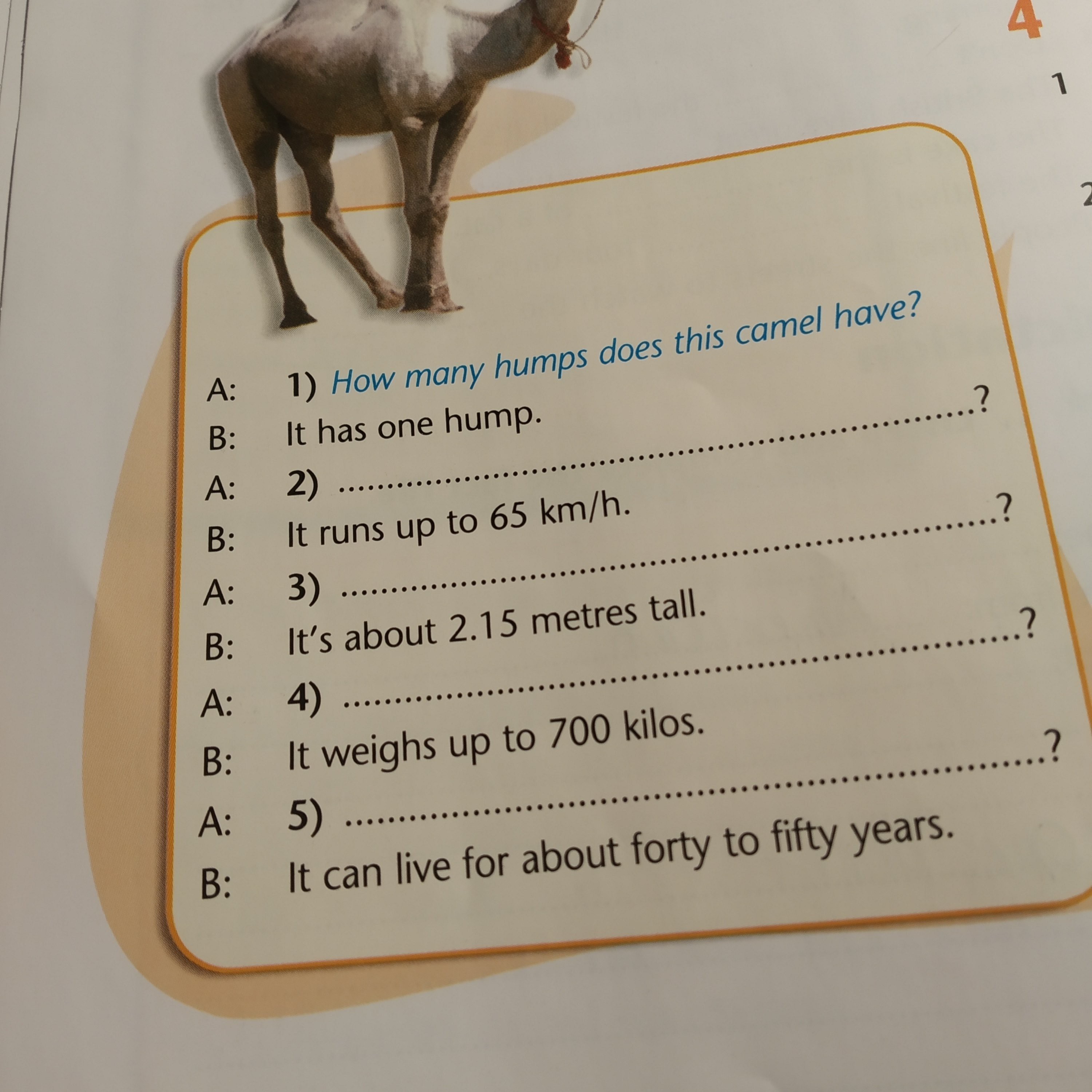 Look at the picture write questions. Write questions with how many 6 класс английский язык. Alice the Camel has one hump Worksheet. Where does Camel Live? English. Look at the Camel facts. Unit 1.