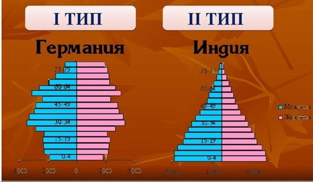 Половая структура населения египта. Типы возрастно-половых пирамид. Возрастно-половая пирамида. Возрастно половая пирамида типы. Возрастно-половая пирамида 2 типа.