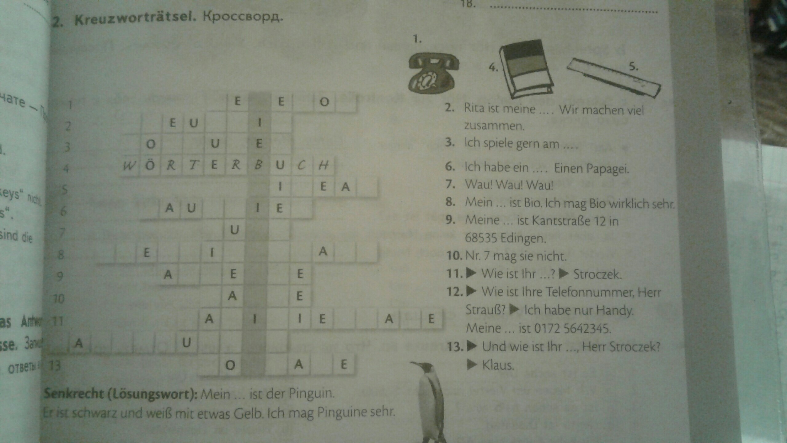 Шулер кроссворд. Kreuzworträtsel кроссворд 5 класс. Кроссворд по немецкому Kreuzwortratsel. Решить кроссворд на немецком. Разгадка кроссворда по немецкому.