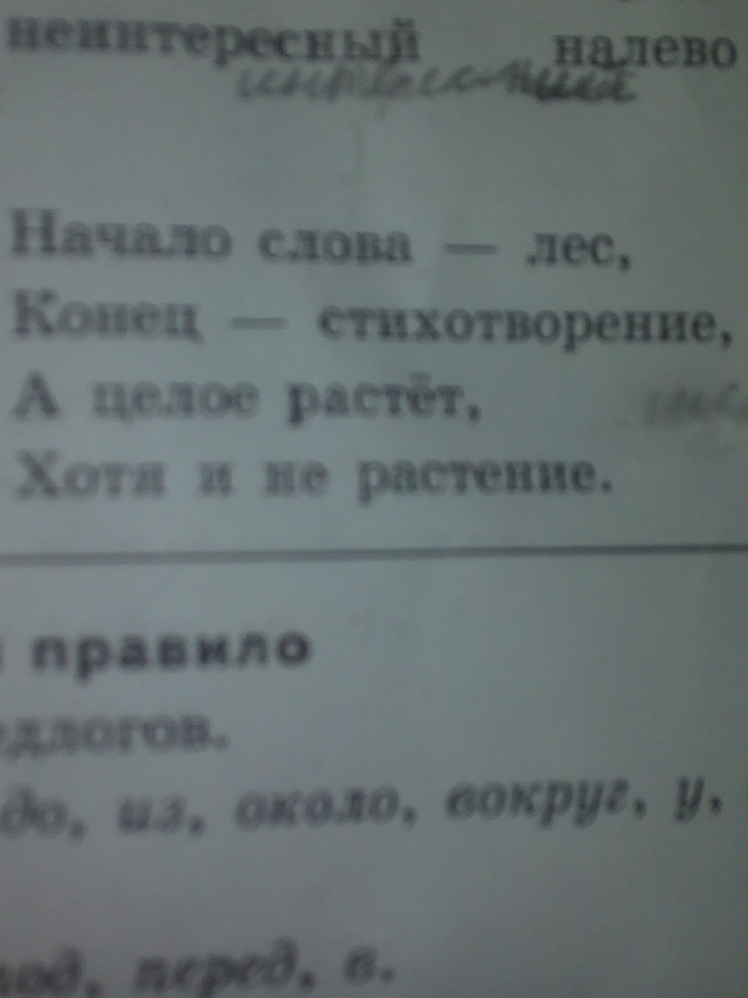 Начало лес конец стихотворение а целое растет хотя и не растение. Шарады. Начало слова лес конец стихотворение а целое растет хотя. Стих про лес для детей. Начало лес конец стихотворение а целое.