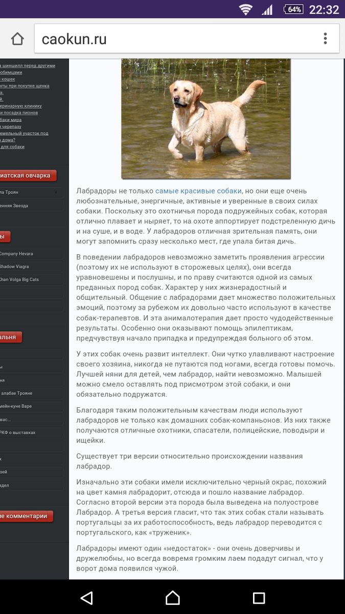 Приложение для сочинений