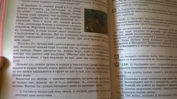 Составьте вопросный план текста и дайте краткий ответ на каждый из поставленных вопросов