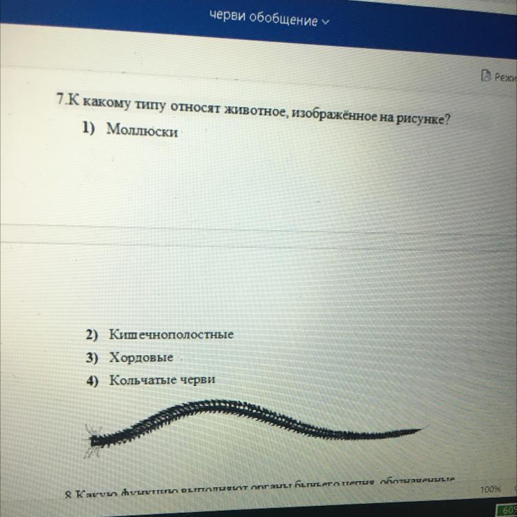 Каким номером на рисунке обозначено животное относящееся к типу у представителей целом