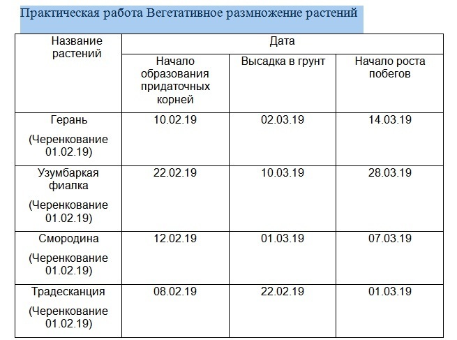 Проект по биологии 6 класс вегетативное размножение герани