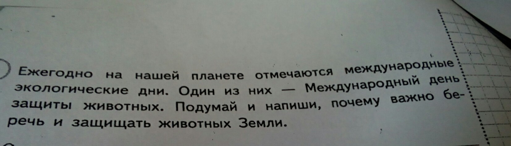 Почему нужно защищать животных. Почему нужно защищать животных. Почему нужно защищать животных. Почему надо беречь и защищать животных. Почему важно беречь и защищать животных.