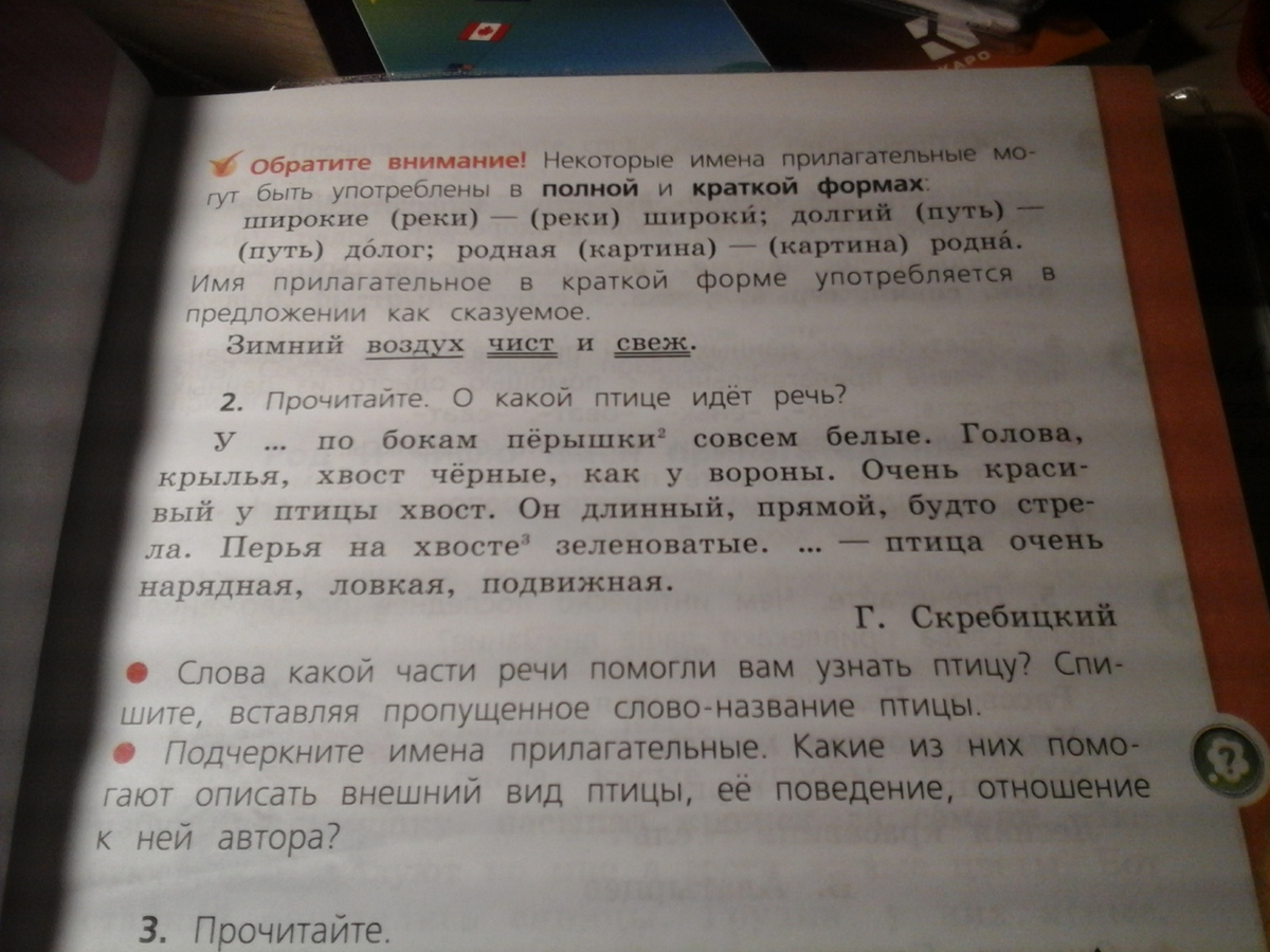 От птицы шел пар и аппетитный запах глухарь упрел в собственном соку схема предложения