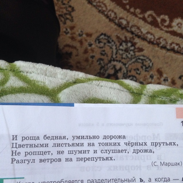 Слова чернеют. На кровлях тихих дач и в поле на земле слова с безударным е в корнях. На кровлях тихих дач и в поле на земле текст. Выпиши из текста признаки к данным словам день вечера борозда. На кровлях тихих дач и в поле на земле чернеют птицы.