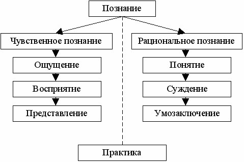 Назовите процесс представленный следующей схемой