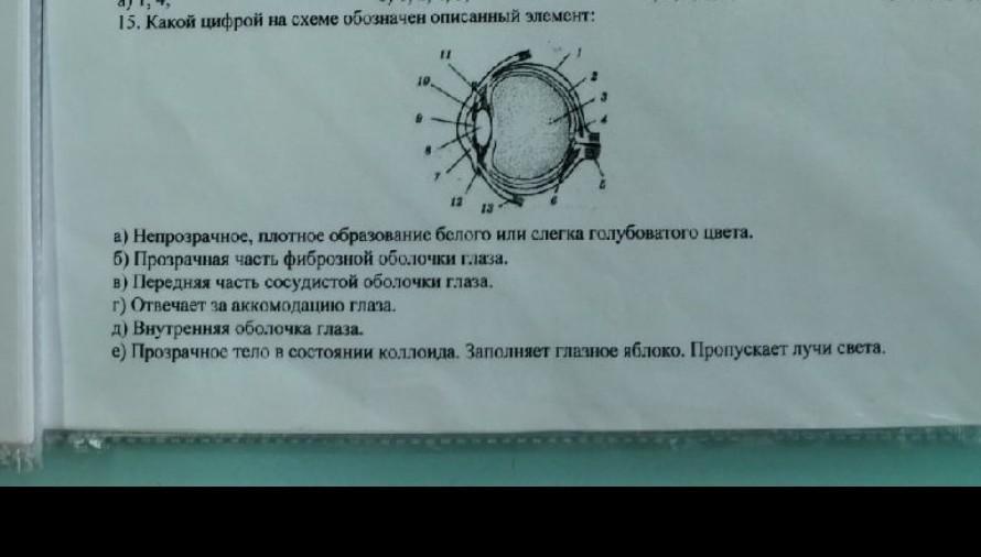 Одной из цифр на схеме обозначена страна никогда не входившая в военную организацию военный блок