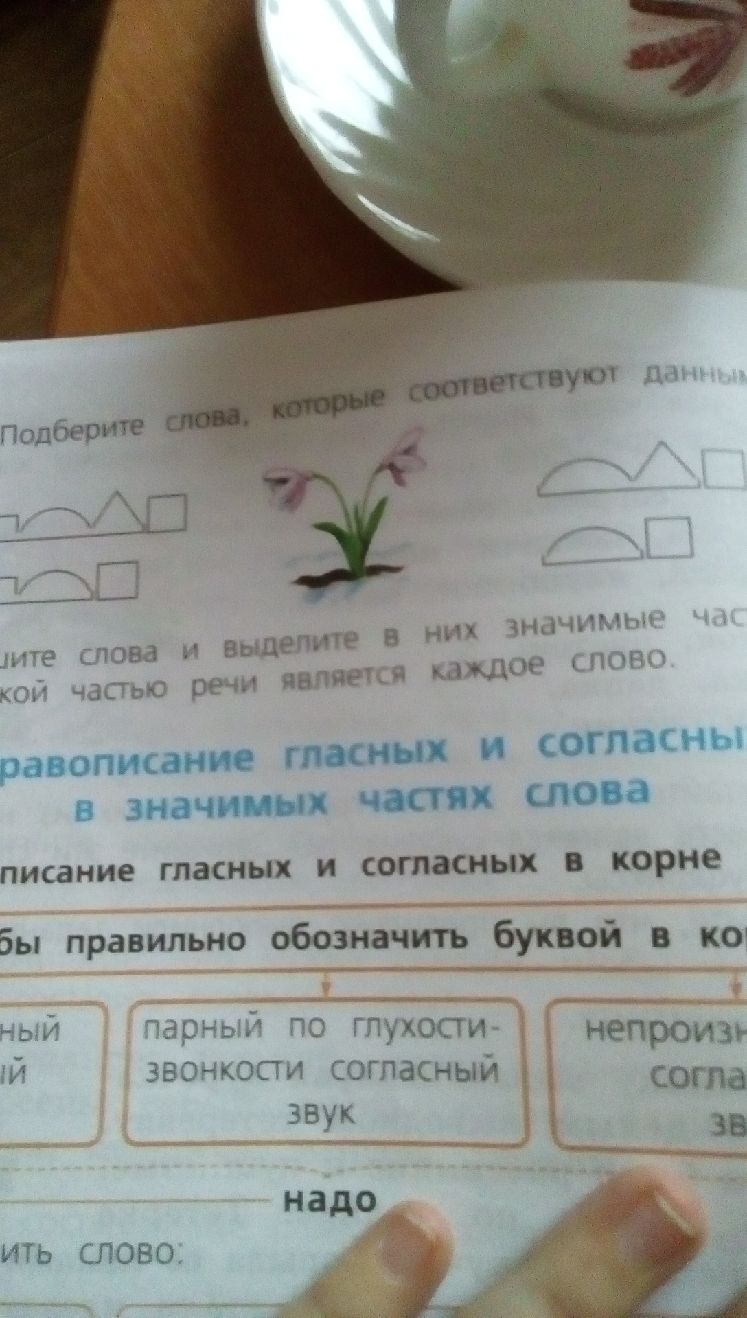 Можно ли подобрать слова соответствующие данным схемам докажите правильность своего ответа