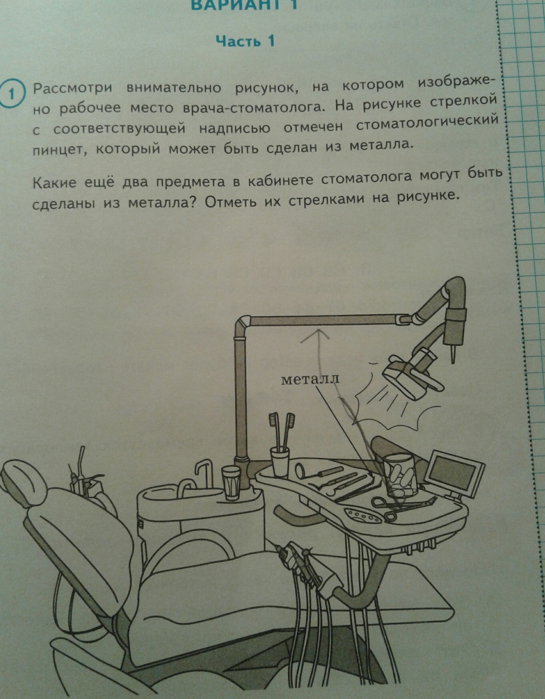 Внимательно рассмотрите предложенные рисунки укажите