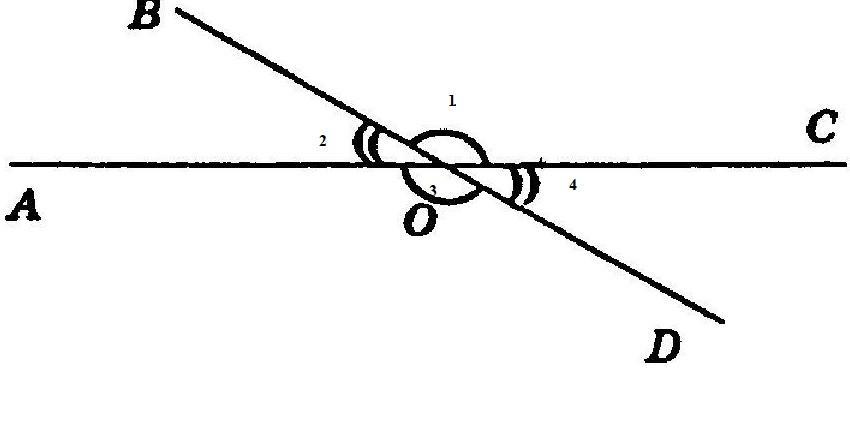 Сторонами угла являются две прямые