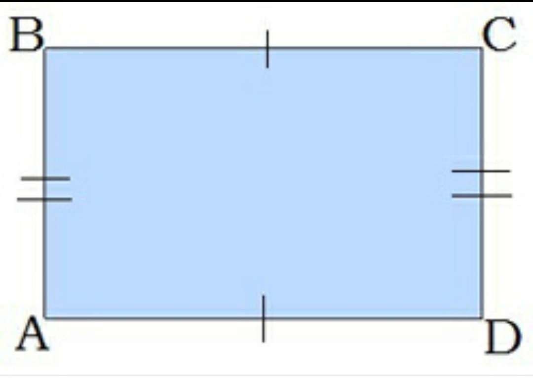 Напиши обозначения противоположных сторон. Построение прямоугольника по двум сторонам. Противоположные стороны прямоугольника. Как построить прямоугольник по двум сторонам. Противоположные стороны прямоугольника 2 класс задания.