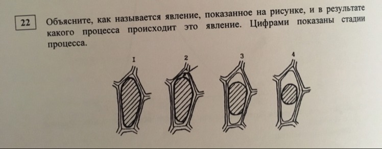 Как изменится изображение предмета на экране если прикрыть половину линзы куском картона