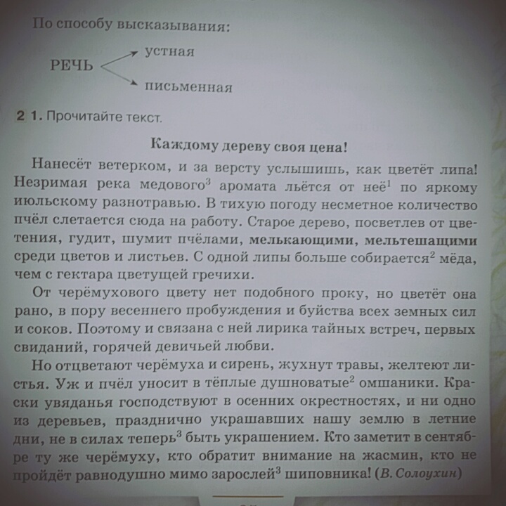 Сколько стоишь текст. Изложение липа. Основная мысль текста в.Солоухина. Основная мысль текста.дерево липа. Каждому дереву своя цена основная мысль текста.