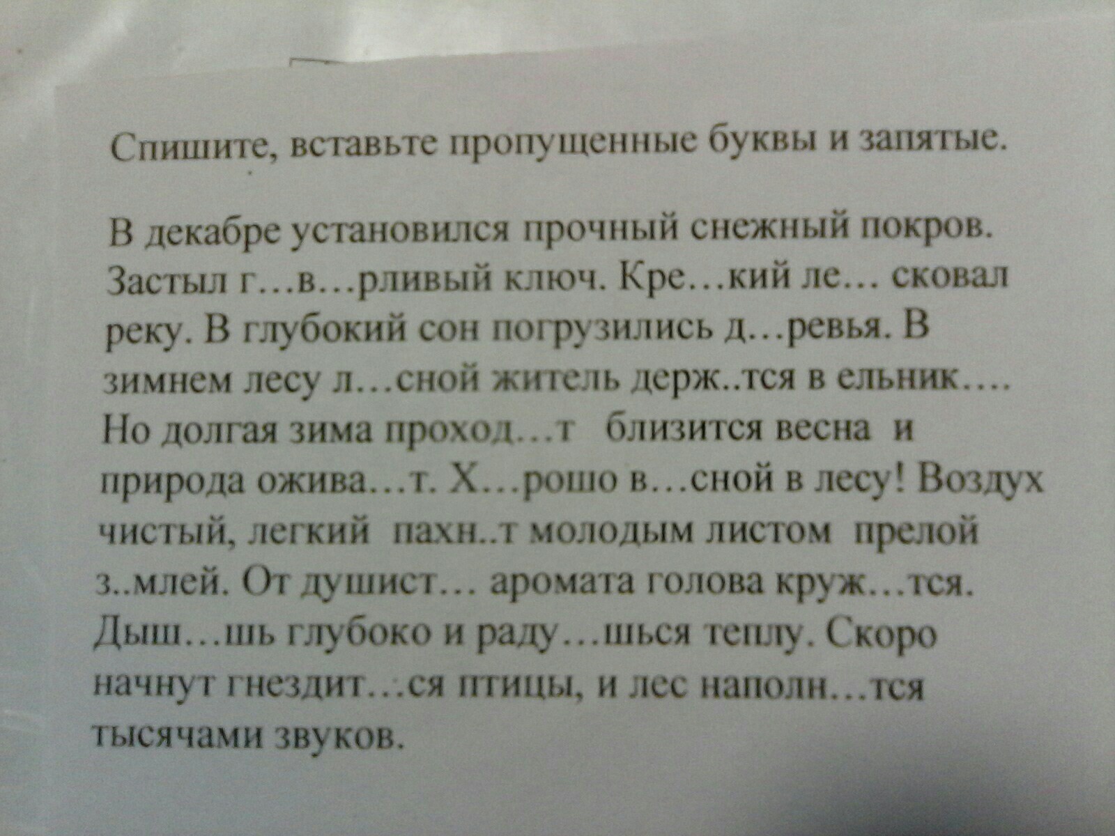 Спишите вставляя пропущенные. Спишите вставляя пропущенные буквы и запятые. Вставить пропущенные буквы и запятые. Вставьте пропущенные запятые. Спишите вставьте пропущенные буквы и запятые.