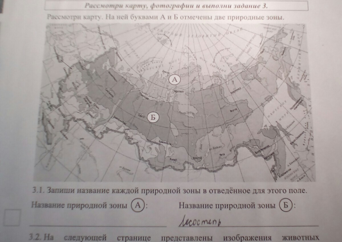Карта впр зоны окружающий мир ответы россии. Рассмотри карту России природные зоны 4 класс. Запиши названия природных зон. Запиши название каждой природной зоны в отведённое для этого поле. Название природной зоны а и б.