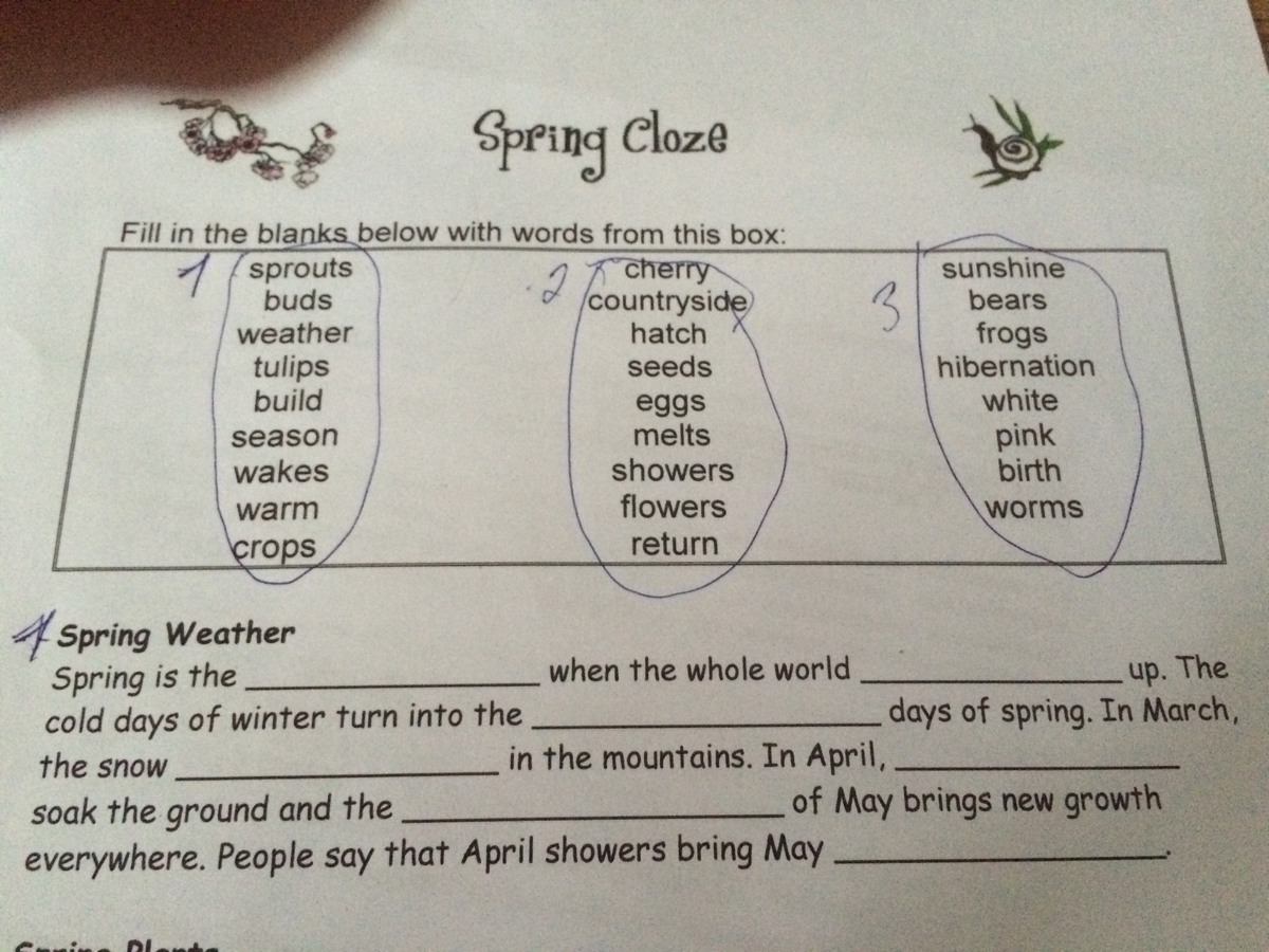 Look at the diagram fill in steam pod seed flower фото 49