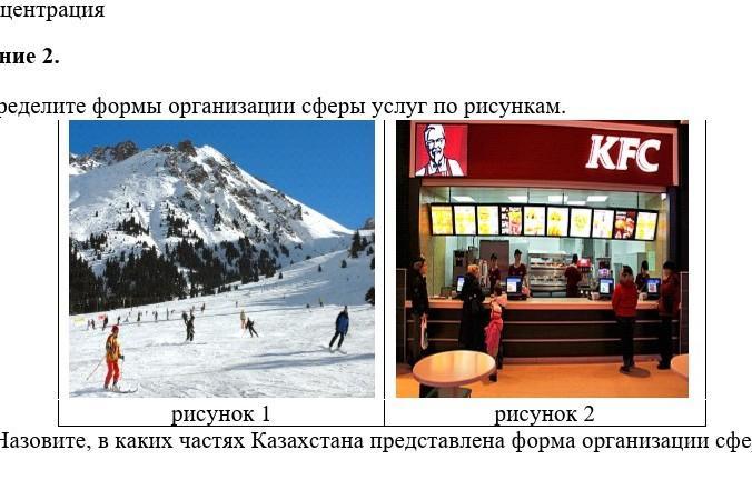 Области сферы услуг в России, таблицы и описание