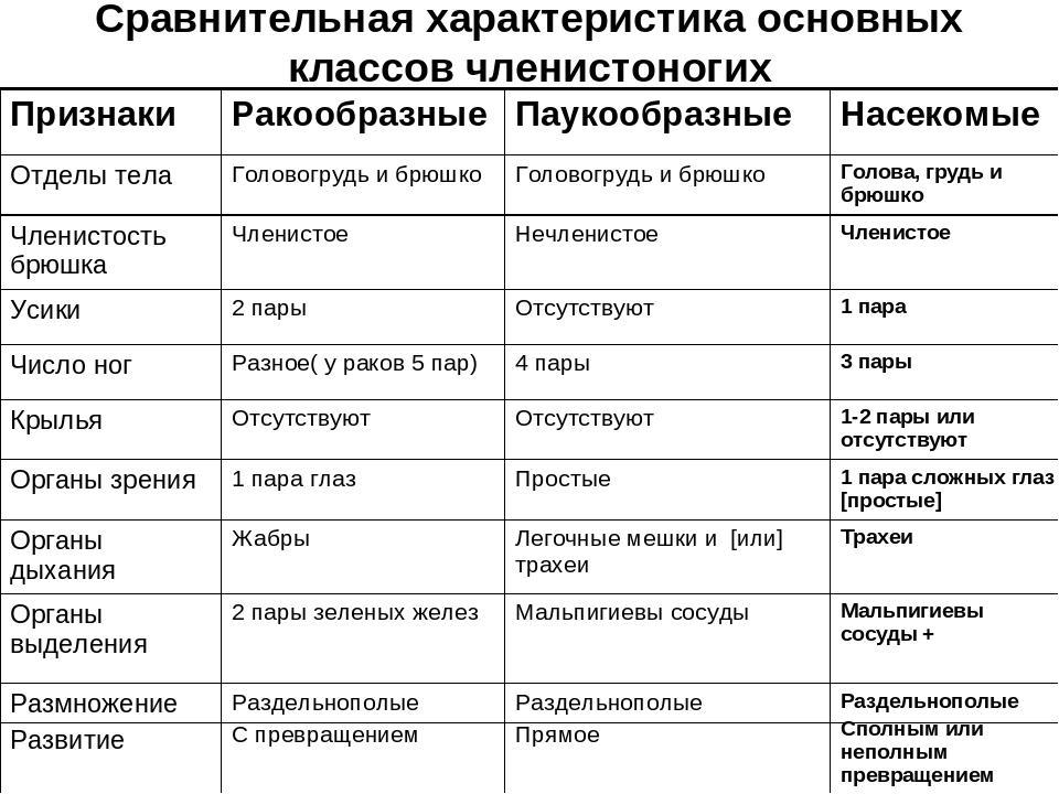 Характеристика класса членистоногие