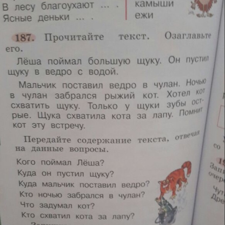 Пять чуланов одна