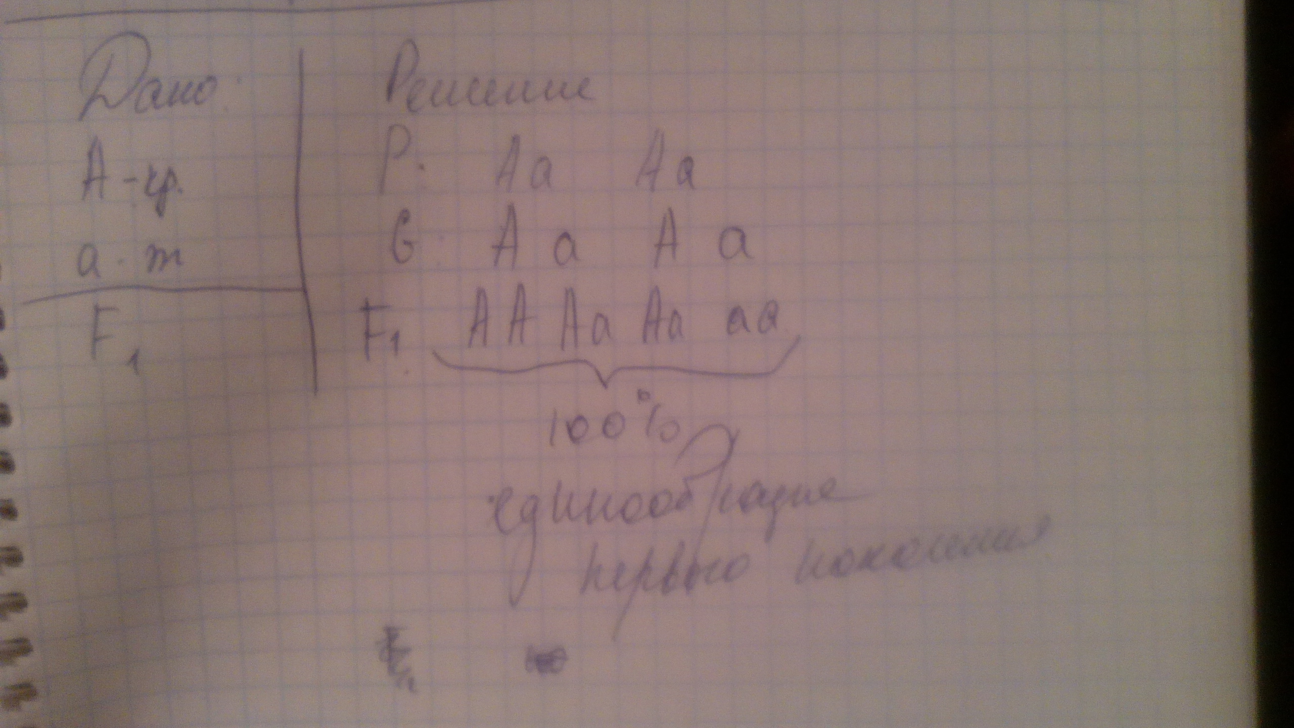 F 2 ответ. В школьный живой уголок принесли двух серых кроликов. В школьный уголок живой природы принесли 2 серых кролика самку и самца. В школьный уголок живой природы принесли двух серых.