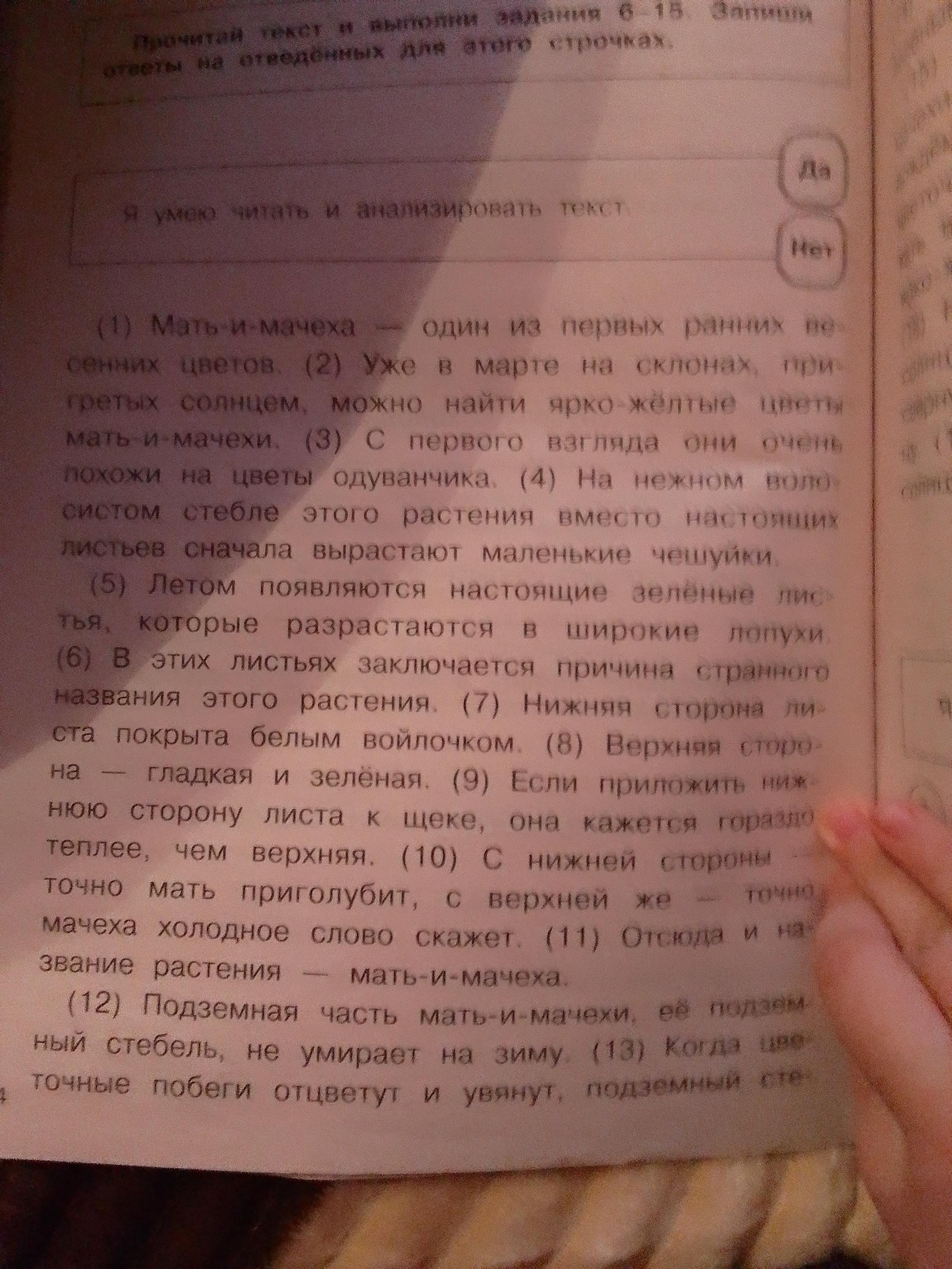 Выпиши только личные местоимения. Выпиши из любого текста 5 предложений с местоимениями. Предложение с местоимением мы играем. Упражнение 371.составьте предложение с местоимение на тему на реке..