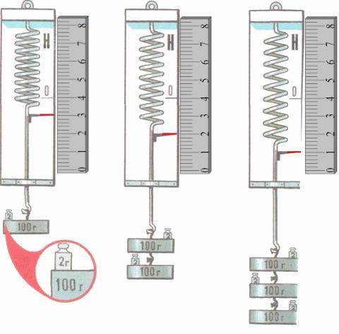Пружина динамометра. Проградуируйте пружину динамометром. Проградуированный динамометр 200 г. Проградуированный динамометр рисунок. Зарисовать проградуированный динамометр.