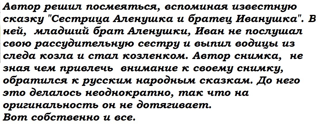 Почему автор называет книгу окном в мир. Почему автор называет книгу окном в мир
