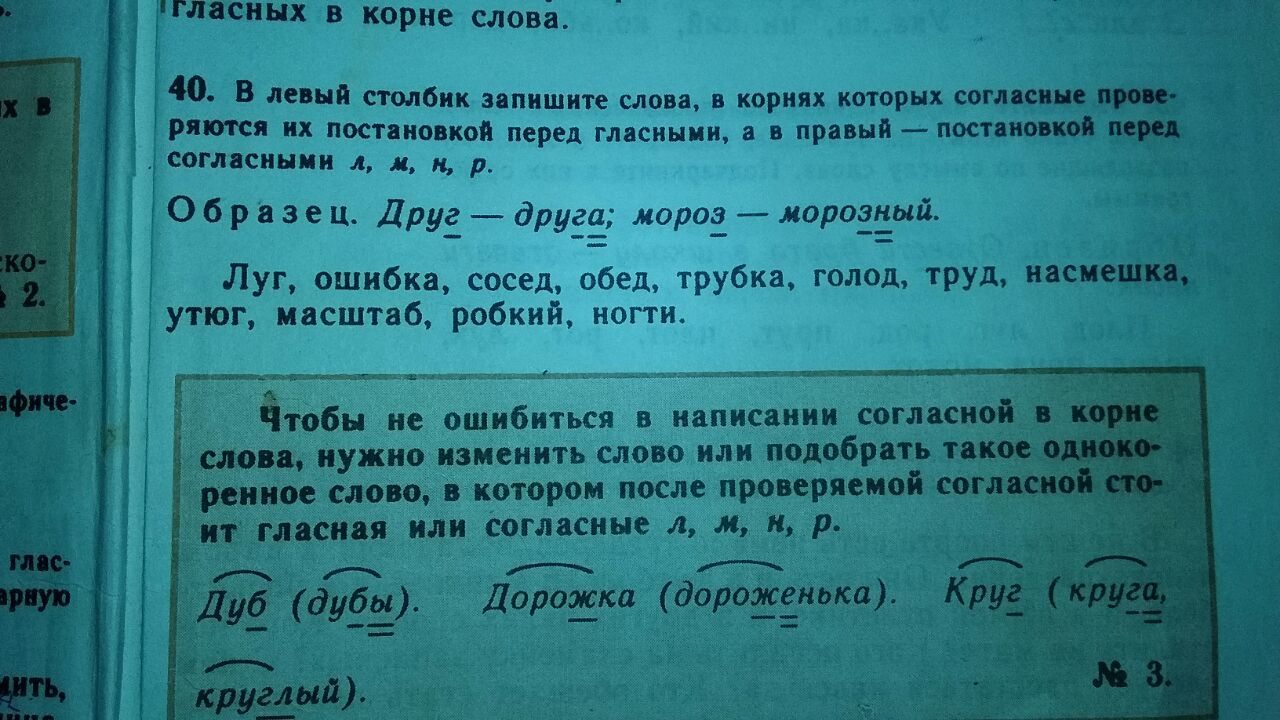 В левый столбик запишите. Левый столбик запишите слова. 15 Слов с проверяемыми согласными в корне. Проверочные слова луг,ошибка,сосед. Проверяемые согласные в корне слова примеры 5 класс.